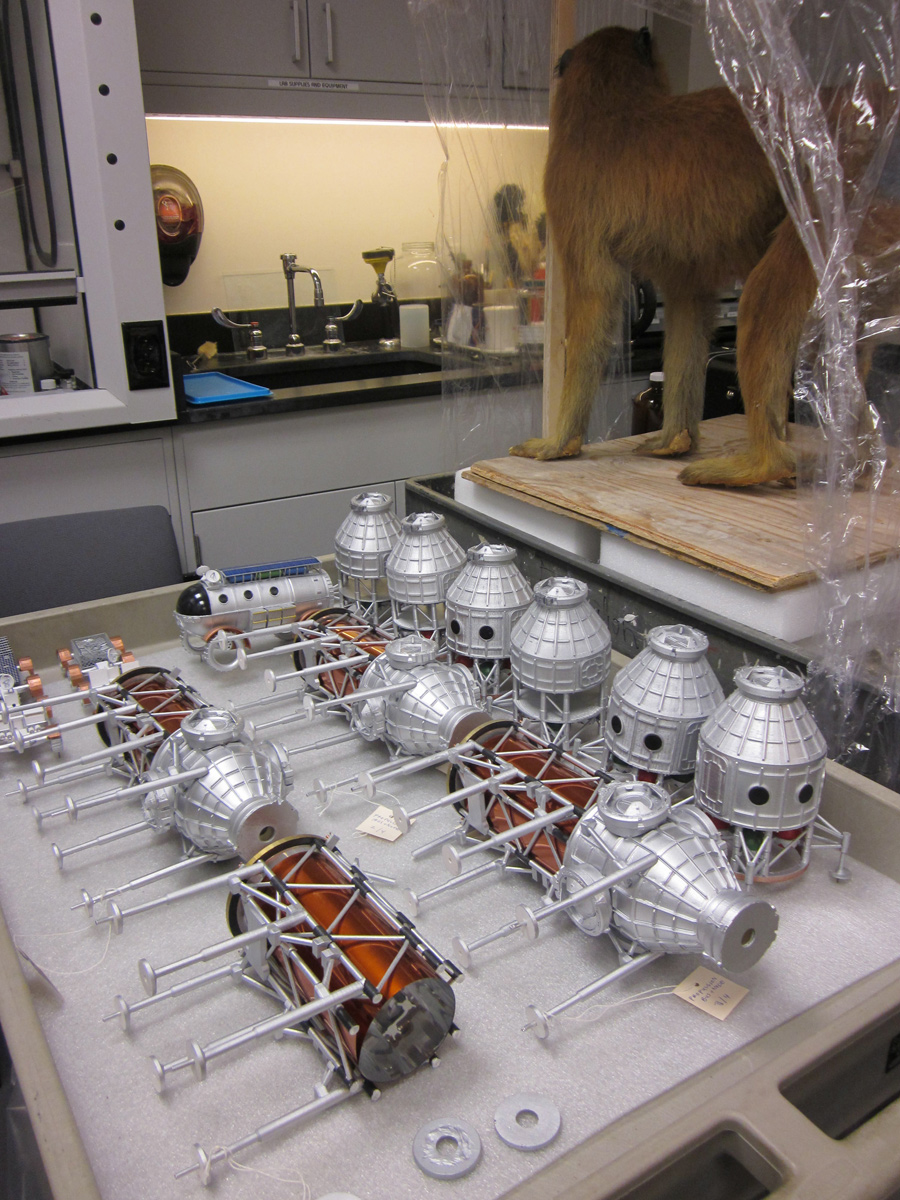 Space Geeks Unite! Out-of-This-World Objects Land at NYC Museum Saturday